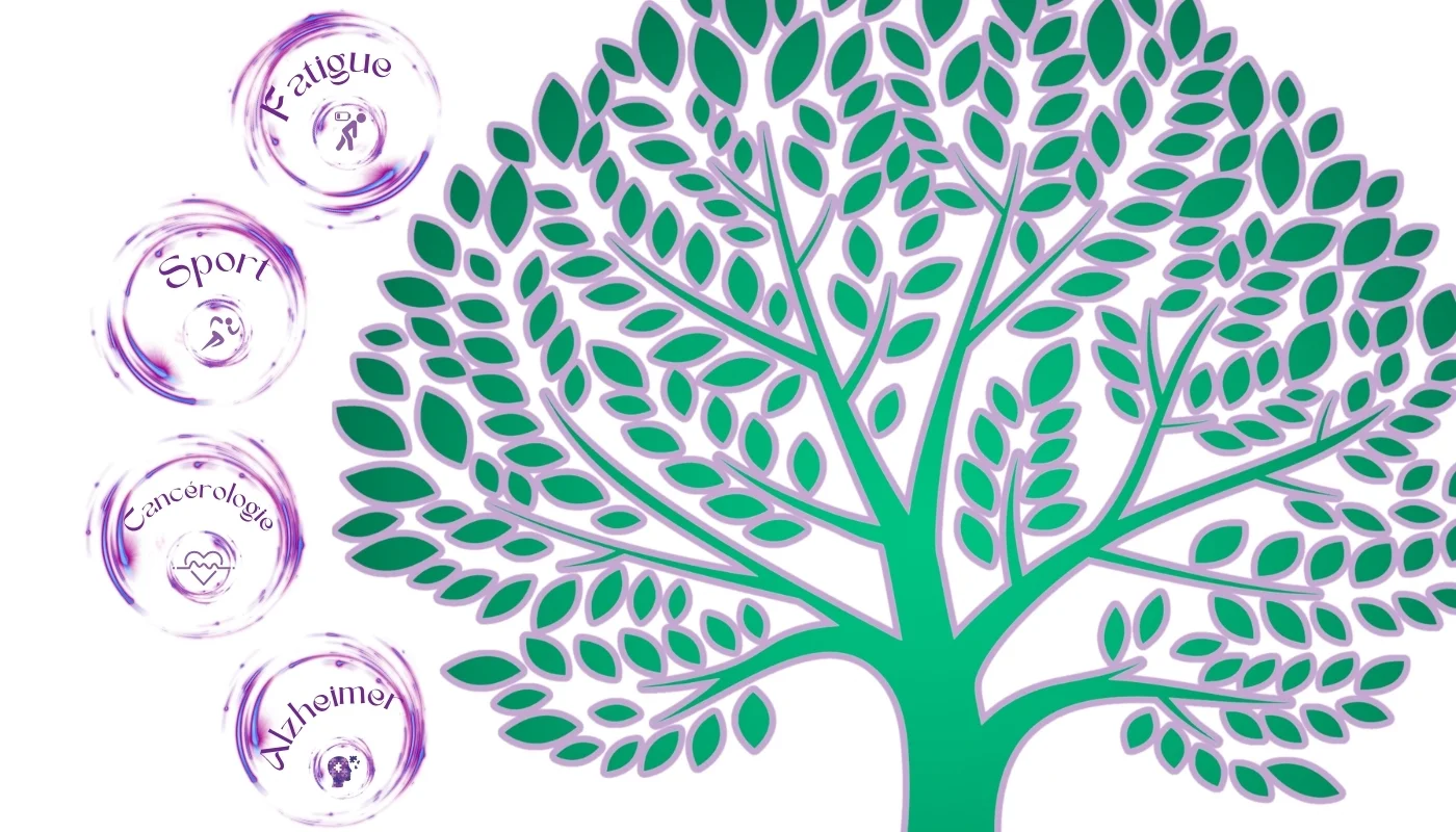 Arbre de vie réflexologie